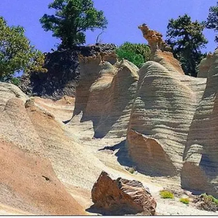 For Nature Lovers *